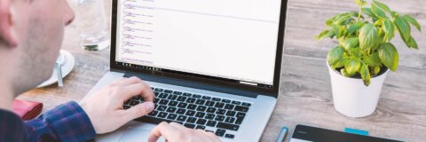 Website gestalten
