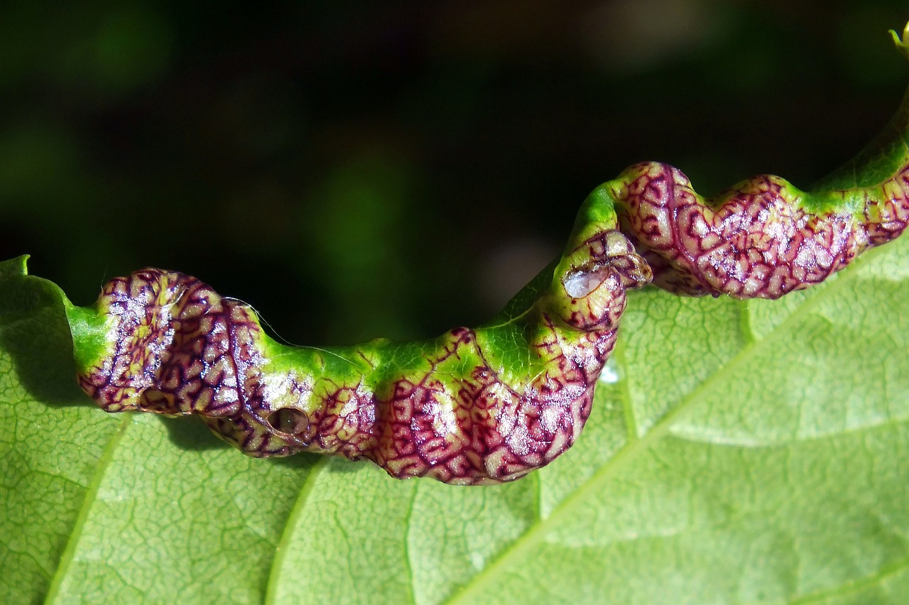 Was ist eine Schilddrüsenüberfunktion? EPENPORTAL.DE