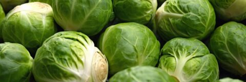 Wie lange muss Rosenkohl kochen? Tipps für die perfekte Zubereitung