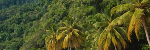 Erlebe das Paradies: Die besten Tipps für deinen Urlaub auf Ko Pha-Ngan