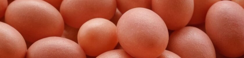 Vitamin B12-Mangel: Symptome und wie Schwitzen darauf hinweisen kann