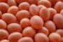 Vitamin B12-Mangel: Symptome und wie Schwitzen darauf hinweisen kann
