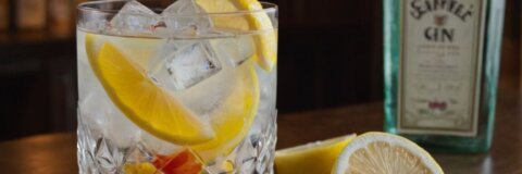 Wie trinkt man Gin: Die besten Tipps für den perfekten Genuss