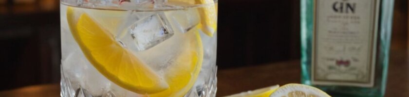 Wie trinkt man Gin: Die besten Tipps für den perfekten Genuss