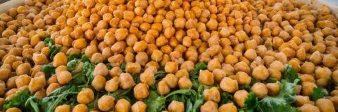 Kichererbsen: Die vielseitige Hülsenfrucht für gesunde Ernährung und nachhaltigen Anbau