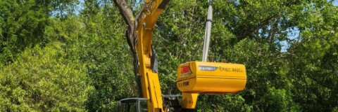 Bäume fällen auf Privatgrundstück: Rechtliche Aspekte und praktische Tipps für Eigentümer