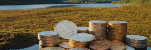 Euro in schwedische Kronen: Aktuelle Wechselkurse und Tipps für Reisende